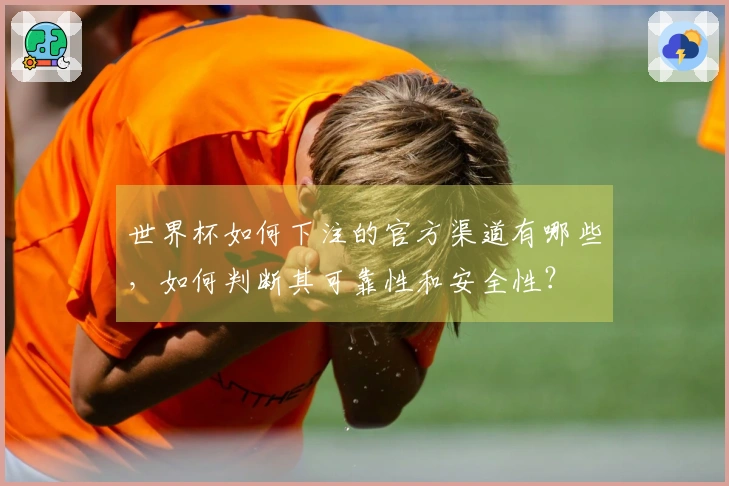 世界杯如何下注的官方渠道有哪些，如何判断其可靠性和安全性？