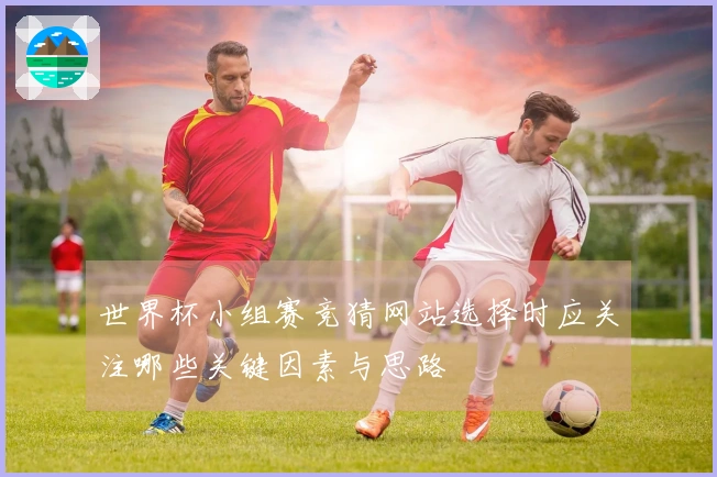 世界杯小组赛竞猜网站选择时应关注哪些关键因素与思路