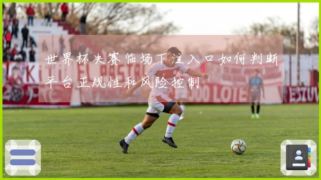 世界杯决赛临场下注入口如何判断平台正规性和风险控制