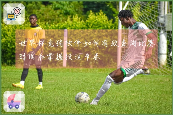 世界杯竞猜软件如何有效查询比赛时间和掌握投注节奏