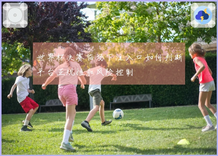 世界杯决赛临场下注入口如何判断平台正规性和风险控制