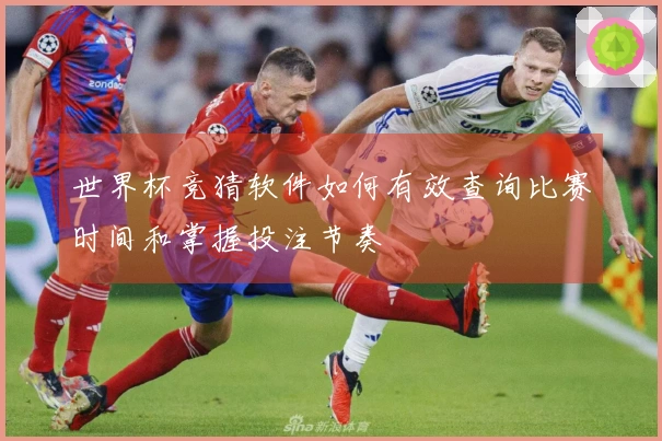 世界杯竞猜软件如何有效查询比赛时间和掌握投注节奏
