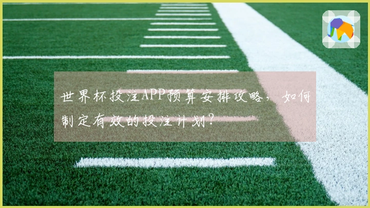 世界杯投注APP预算安排攻略，如何制定有效的投注计划？