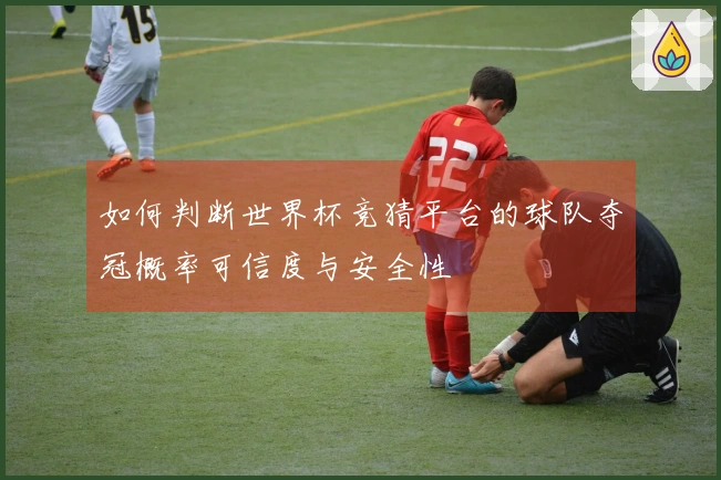 如何判断世界杯竞猜平台的球队夺冠概率可信度与安全性